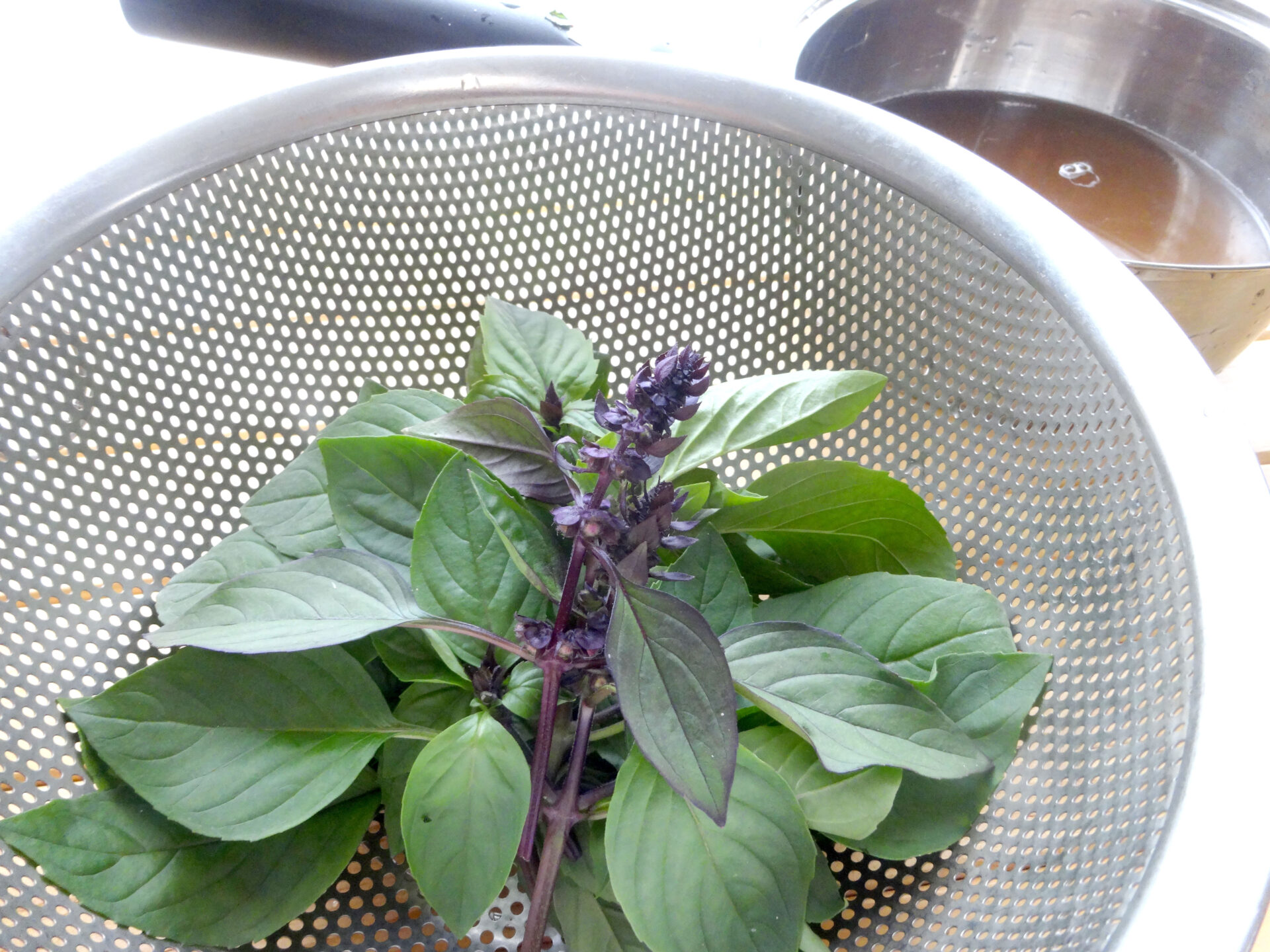 バジルシロップ作り方【農家直伝】余ったバジル使い切り&保存レシピ ぴっこのバジルぐらし